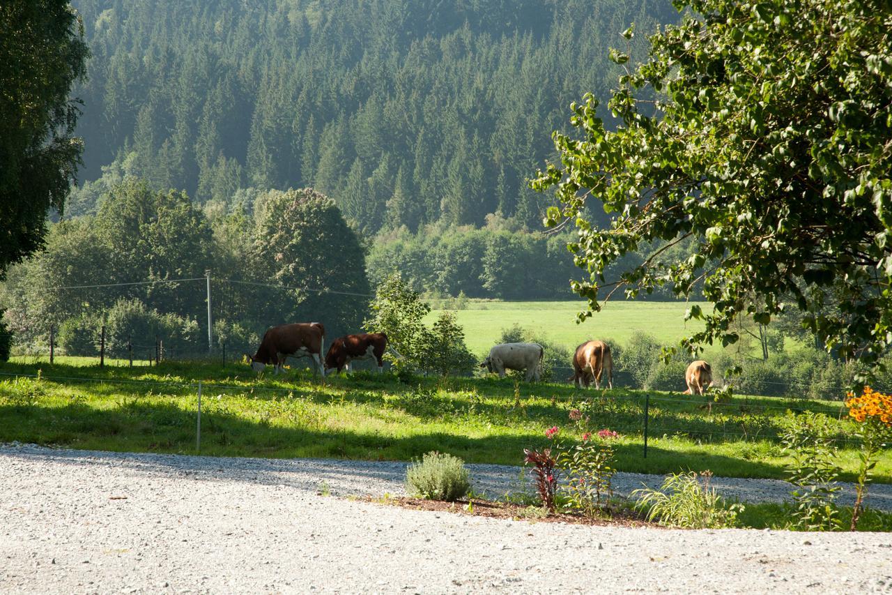 Landhotel Bayerwald Grafling 외부 사진